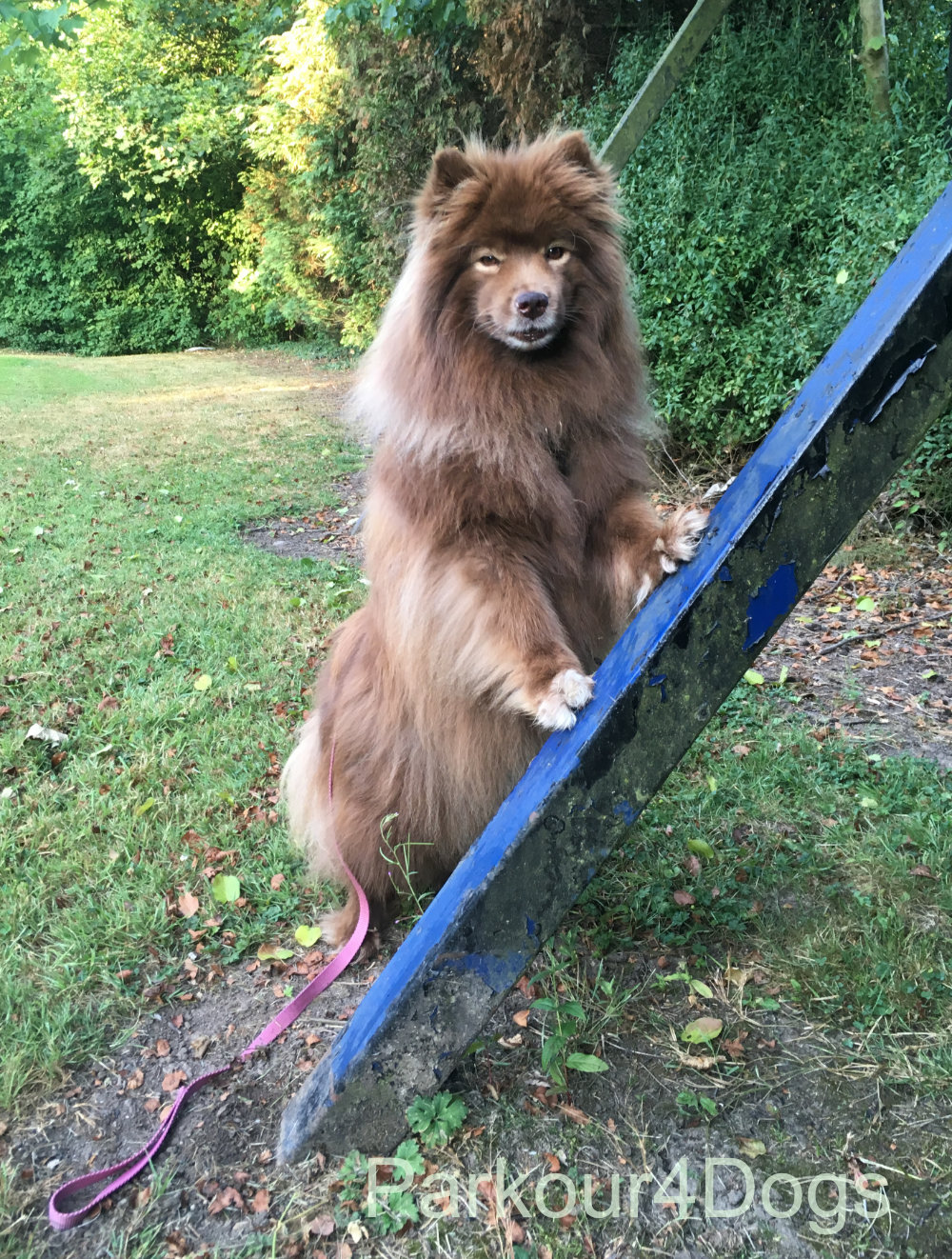 Eeva 2 feet on a sign supprt